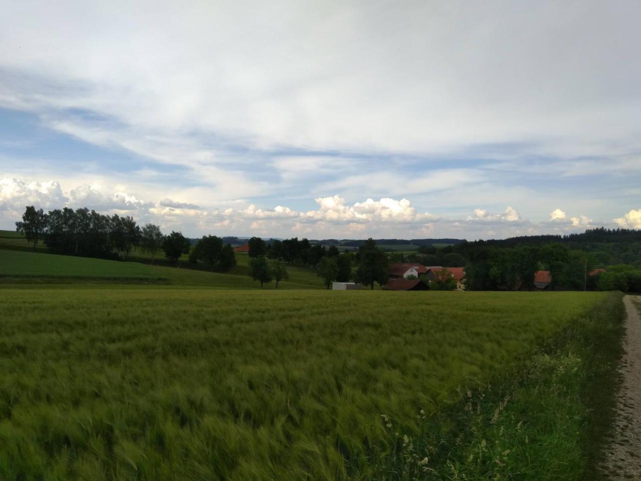 Gasthaus Schachinger Tumeltsham Exterior foto
